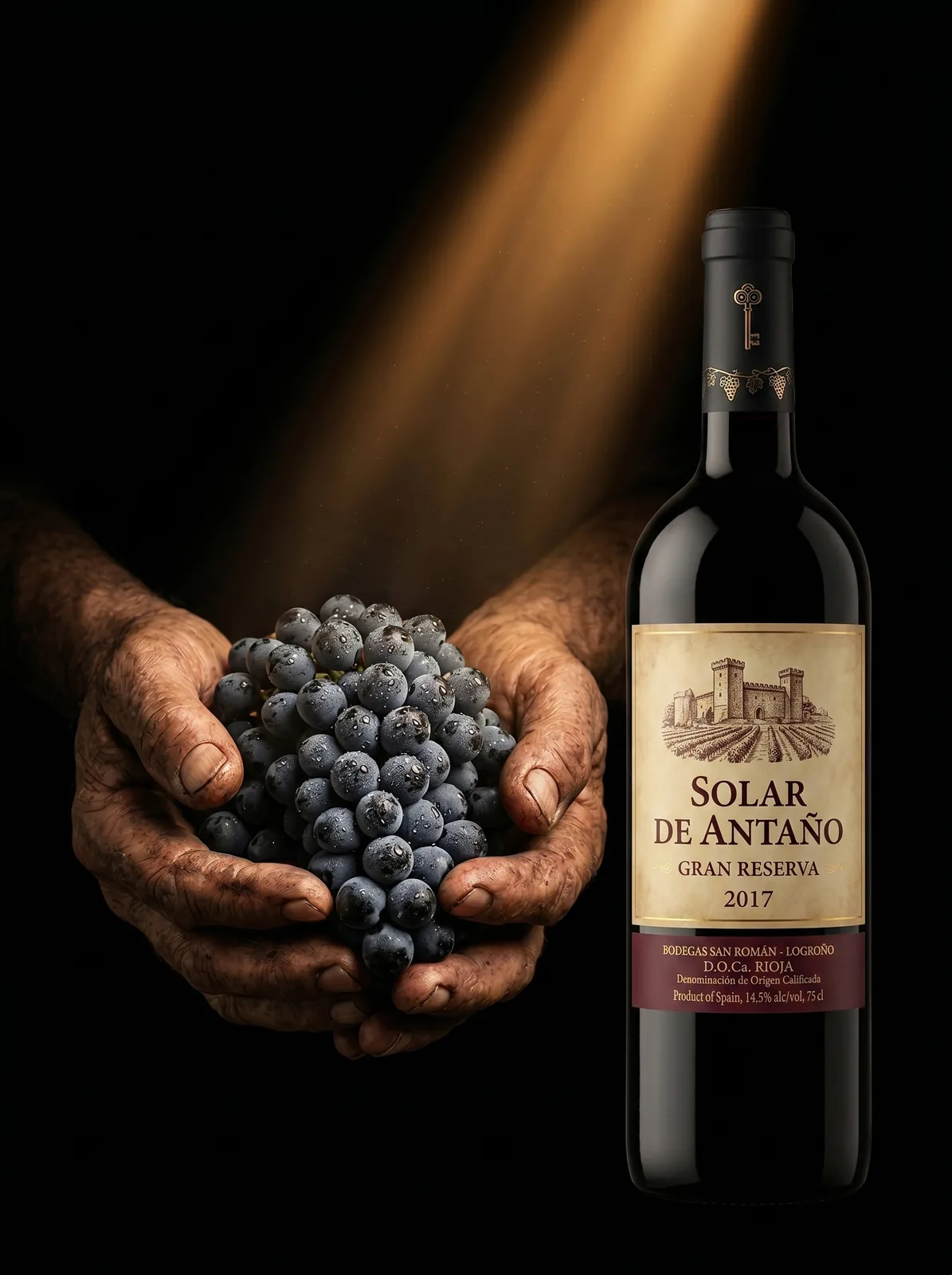 Manos con uva y botella, fotografía de producto